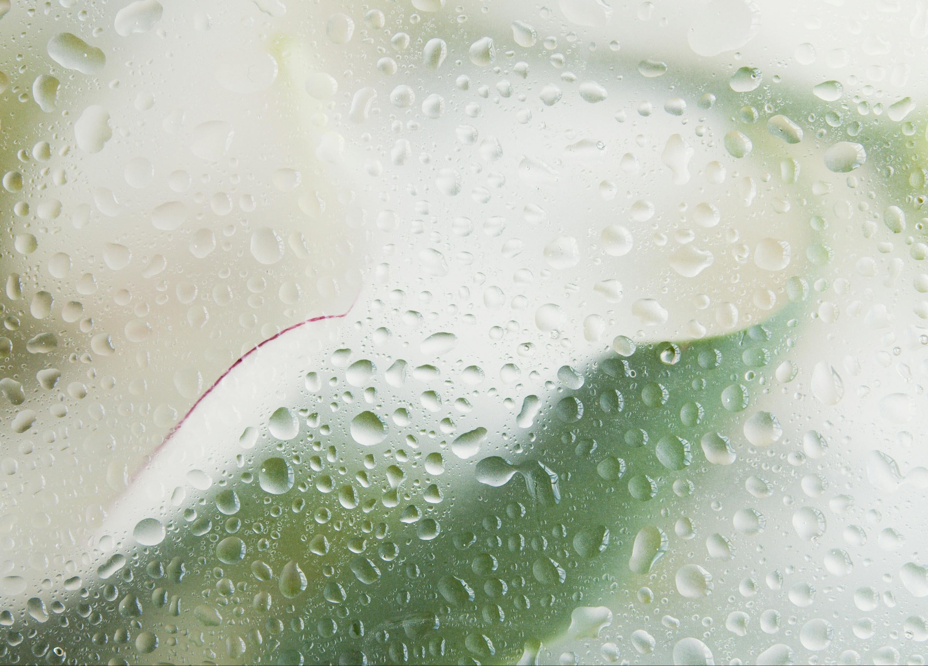 water droplets on surface representing centella asiatica skincare hydration and barrier support with visible centella benefits